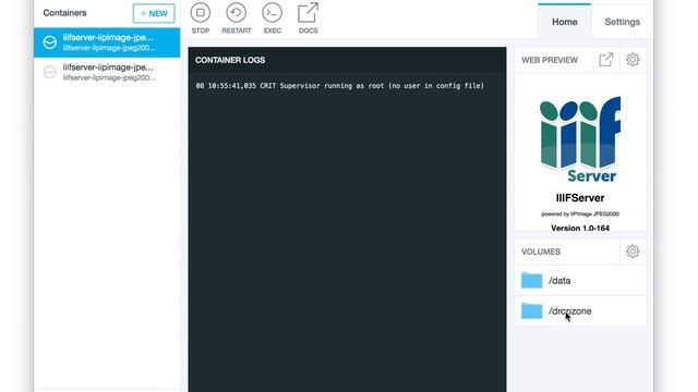 IIIF Server in Docker: IIPImage with JPEG2000 Kakadu library смотреть онлайн