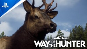 Cauvo capital обзор Way of The Hunter на PlayStation 5