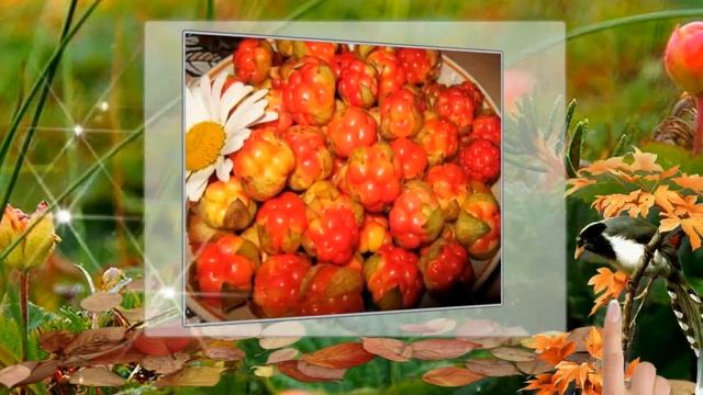 Золотая Осень очень красивый ролик автор Елена Безбородова смотреть онлайн