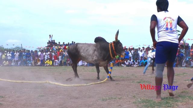 கோசகுறிச்சி அழகர்சாமி காளையின் அதிரடி ஆட்டம் சக்கந்தி பயமறியா குழுவின் அடங்காத ஆட்டம்P.கொடிகுளம்வடம смотреть онлайн