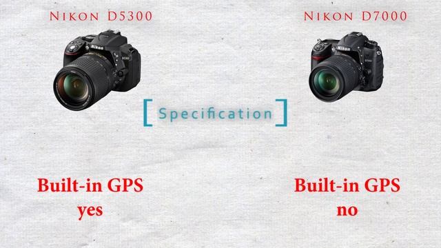Nikon D5300 vs Nikon D7000 Comparison смотреть онлайн