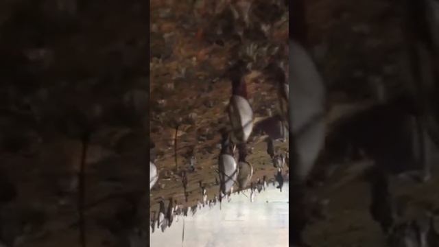 Жизнь на днище корабля смотреть онлайн