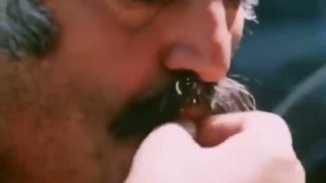 Прикол про грибы и собаку смотреть онлайн