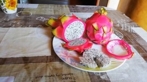 Драконий фрукт, питайя. Экзотические фрукты Тайланда. Что это и как выглядит? Pitaya, dragonfruit