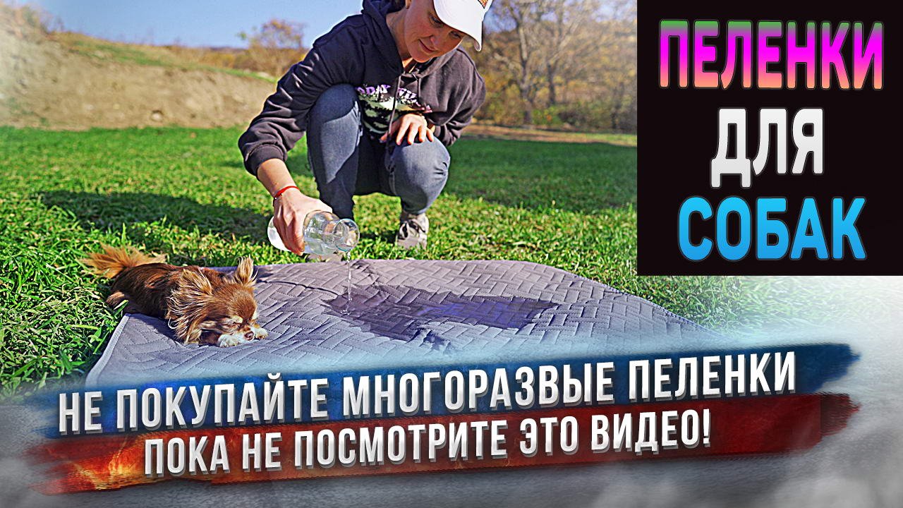 Многоразовые ультравпитывающие пеленки для собак. Волшебная пеленка впитывает литры жидкости! смотреть онлайн