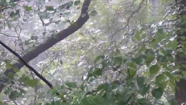 Зинаида Миркина . Когда б мы досмотрели до конца... смотреть онлайн