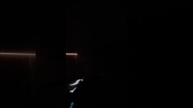 24 часа в ШКАФУ/ВИДЕО ЧЕЛЕНДЖЖ ПРОДЕРЖИСЬ смотреть онлайн