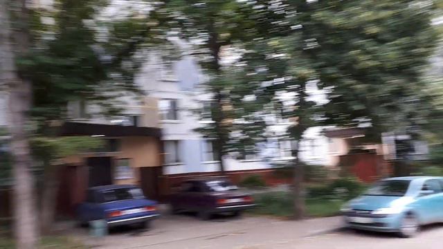 Подсолнухи на Академика Павлова 27к3 смотреть онлайн