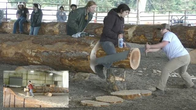 2022 Redwood Region Logging Conference (Eureka, California) смотреть онлайн