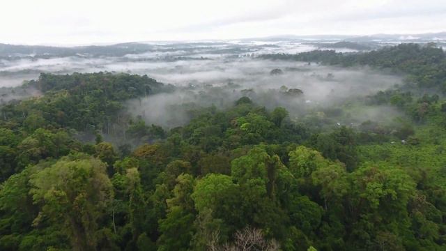 5 кл. Лагерь. 1 день. Конец. смотреть онлайн