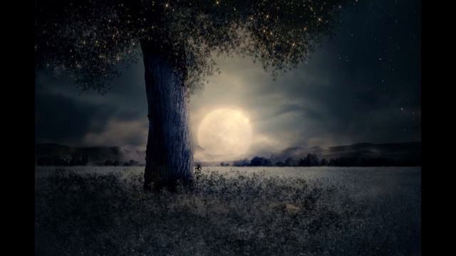 Shinnobu-The Enigma IV