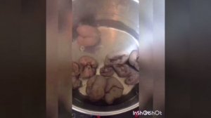 Говяжьи почки, 2 способа подготовки и 2 вкусных блюда