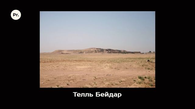 Возникновение городов. Шахмардан Амиров. Родина слонов № 140 смотреть онлайн