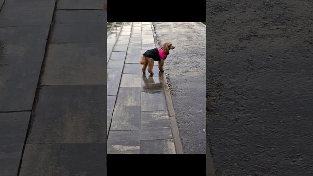 1000004792.mp4ю Ляся смотреть онлайн