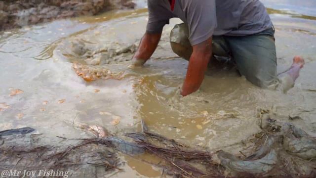 Best Cast Net Fishing 2023 - Find & catching Many Fish In Dry Season By Cast Net Fishing смотреть онлайн