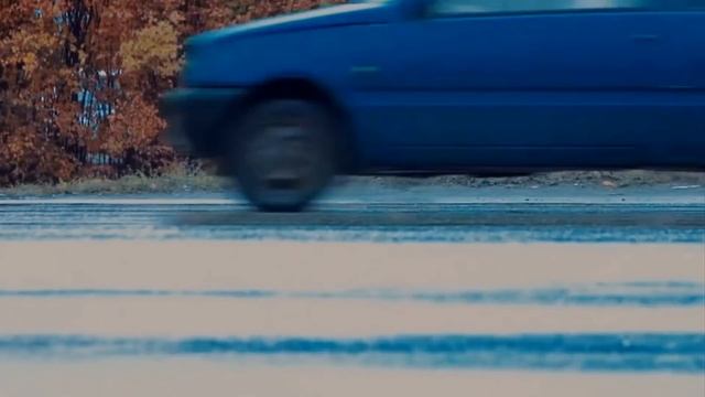 Собака и человек Автор ,исполнитель: Анатолий Степаненко. Не предавай Друга..придется заплатить. смотреть онлайн