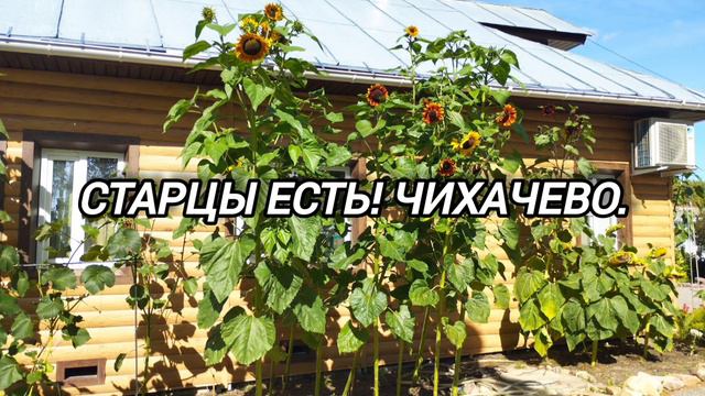 Слово автора канала. смотреть онлайн