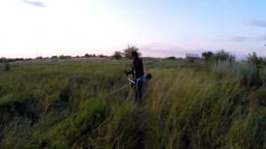 Кусторез STIHL FS 450 | ОБЗОР /Тесты в сравнении с HONDA UMK 435T