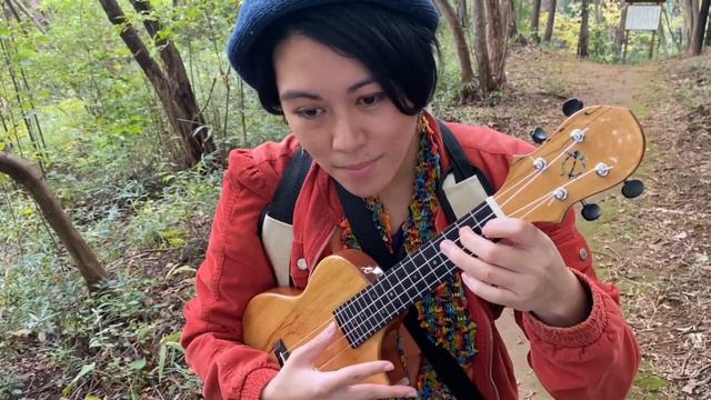 “My Neighbor Totoro” ukulele cover from Totoro Forest 「隣のトトロ」ウクレレカバー смотреть онлайн