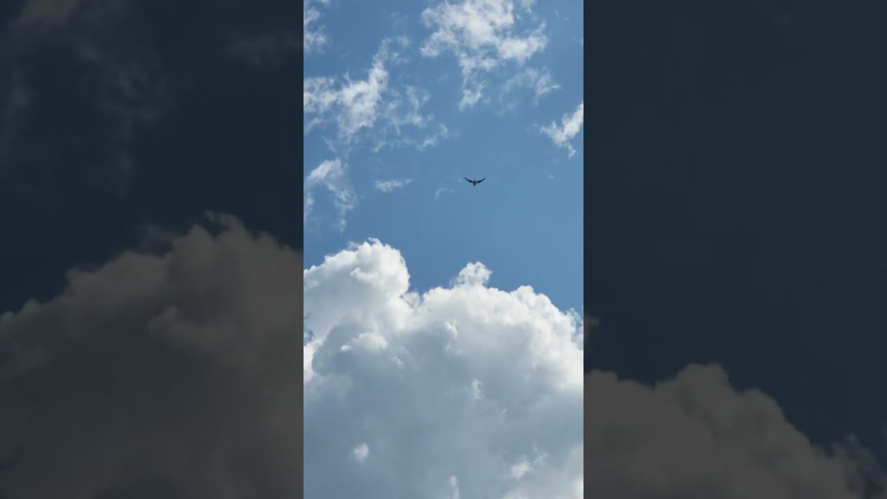 летим по волнам, как птицы)) смотреть онлайн