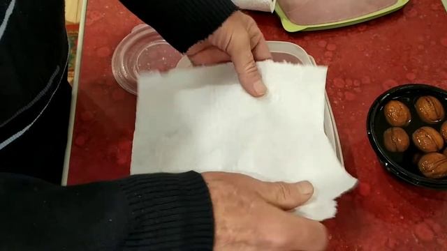 Проращивание грецкого ореха. смотреть онлайн