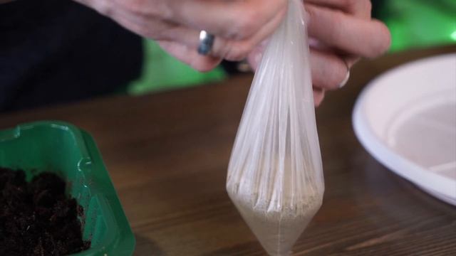 Черная ножка на рассаде табака ✔️ смотреть онлайн