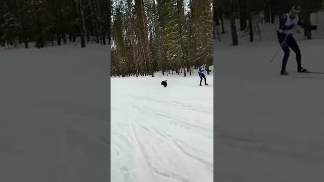 ХРАБРЫЙ ГЛУХАРЬ смотреть онлайн