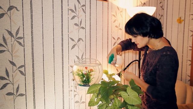 Как мы взяли ипотеку и купили квартиру смотреть онлайн