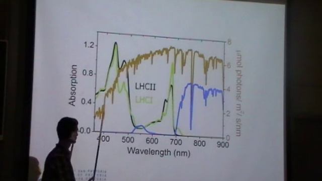 Design Principles in Photosynthetic Light Harvesting: Own Research Findings - Tjaart Krüger смотреть онлайн