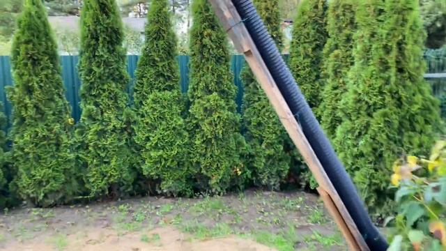 В сентябре-октябре ещё можно посадить хвойные и гортензии смотреть онлайн