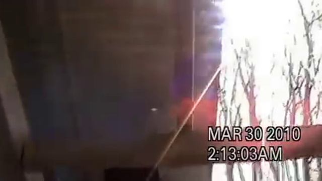 Gotcha Pest Control - Bees & roaches invade hoarders home смотреть онлайн