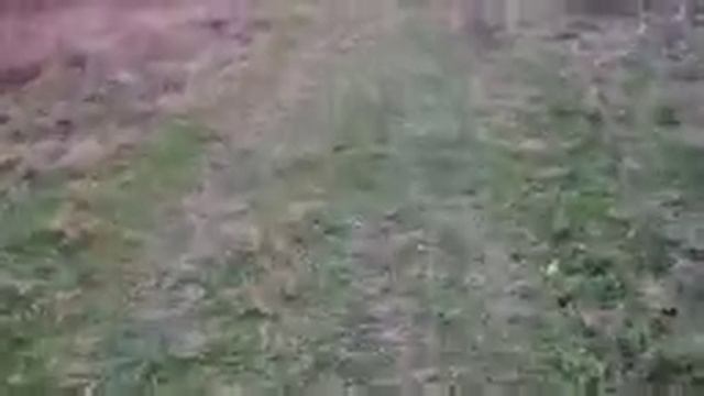 Топ Jager Буллпап. Оптика Дискавери 40х , Балон 7л+с ЗС+Чехол +Пули 4г в комплект. смотреть онлайн