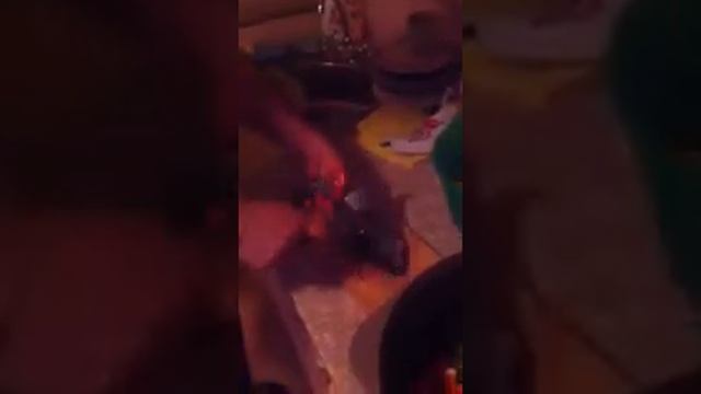 Рецепты с Душой