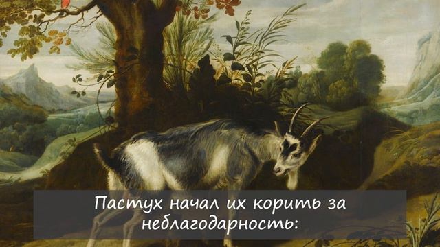 Мудрая притча о том, кому нельзя доверять! Притча "Пастух и козы". смотреть онлайн