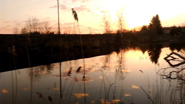 Разведка места где ловил карася и линя. Браконьеры все запутали сетями. смотреть онлайн