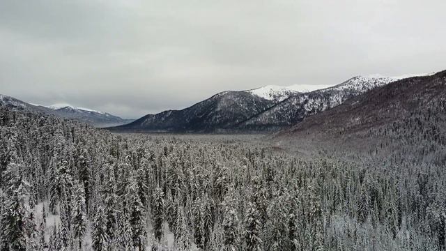 Зимний лыжный поход на Теплый ключ (Алтай - Хакасия) : туризм с компанией "Алтай-гид" смотреть онлайн