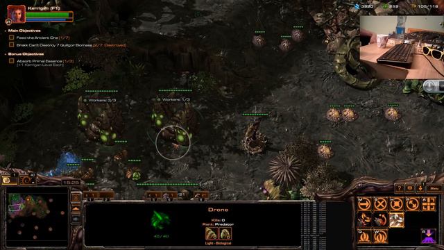 Accessible Starcraft 2 - Part 10 смотреть онлайн