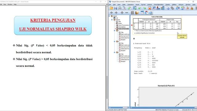 Tutorial SPSS : Uji Normalitas Shapiro Wilk ➡️ Uji Normalitas Untuk Uji Beda‼️ смотреть онлайн