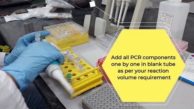 Polymerase Chain Reaction (PCR) Live demonstration. Practical process for PCR смотреть онлайн
