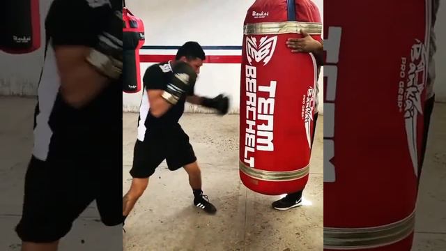 MIGUEL BERCHELT | FORMER WBC SUPER FEATHERWEIGHT CHAMPION OF THE WORLD | KNOCKOUT ARTIST FROM MEXIC смотреть онлайн