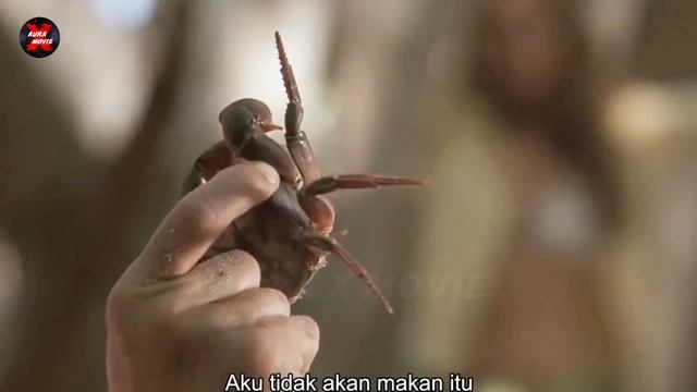 TERDAMPAR DI PULAU DAN BERTAHAN HIDUP DENGAN ISTRI ORANG_Alur Cerita Survival Island(2005) смотреть онлайн