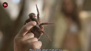 TERDAMPAR DI PULAU DAN BERTAHAN HIDUP DENGAN ISTRI ORANG_Alur Cerita Survival Island(2005)