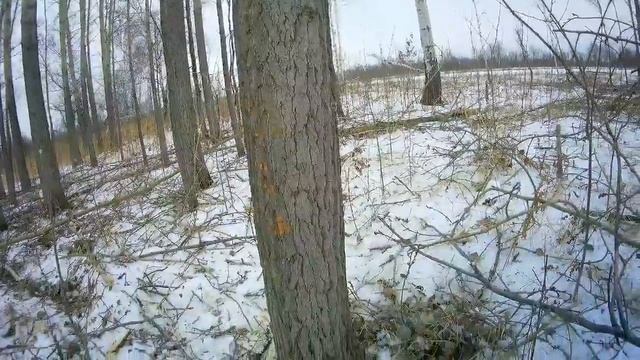 ОДИН ДЕНЬ В ЛЕСУ С ТРАКТОРОМ Т-40АМ #2 смотреть онлайн