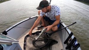 Голавль летом на кренки ● р.Ока ● ч.2