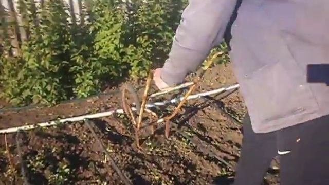 Ручной культиватор из металлолома! смотреть онлайн