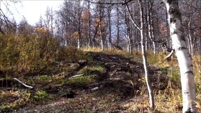 Маньпупунёр и перевал Дятлова. ПЕРЕПОСТ, чтобы не удалили. смотреть онлайн