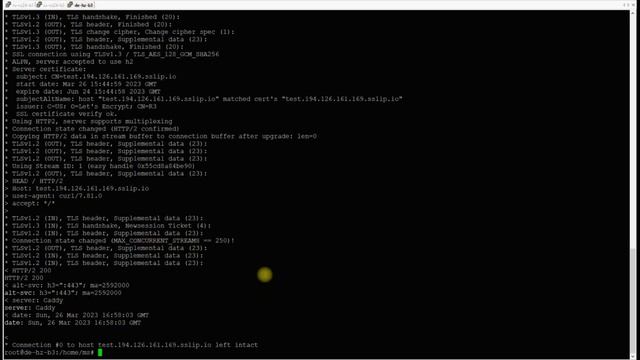 Отказоустойчивый балансировщик C автоматическим SSL  (Caddy + Consul)