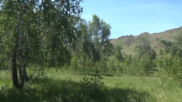 Нурали. Лесная дорога. смотреть онлайн