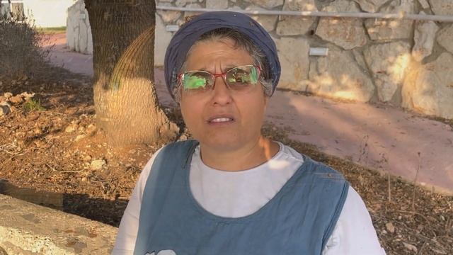 The Third Temple Prophecy Update 2022 | Building The Third Temple смотреть онлайн