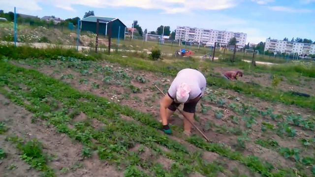 Обзор огорода, прополка моркови смотреть онлайн